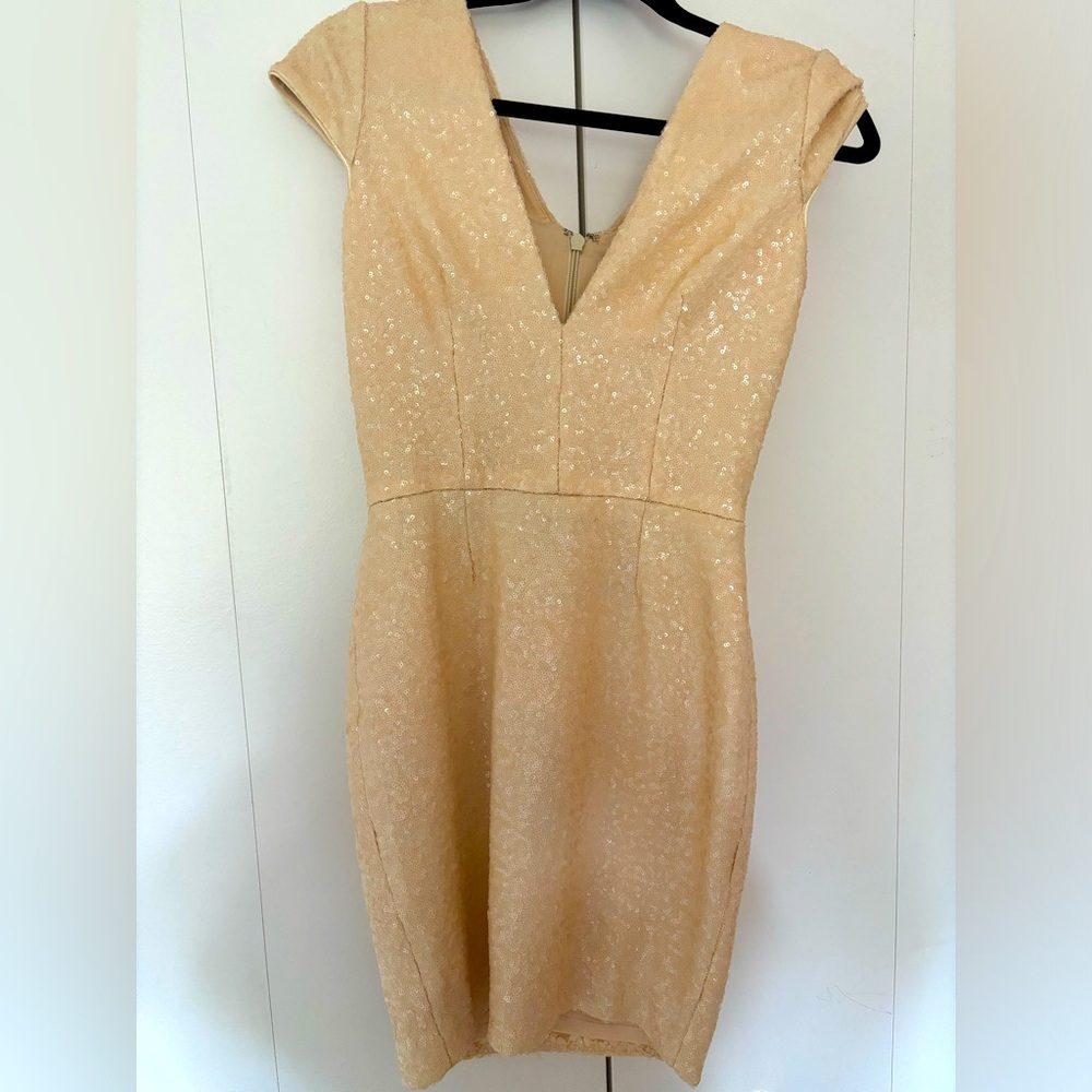 Dress the Population cream sequined dress!